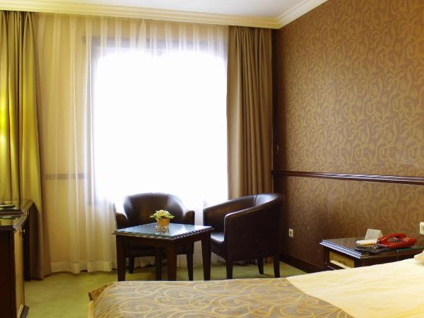 Topkapi Inter Istanbul Hotel : photo 1 de la chambre chambre simple