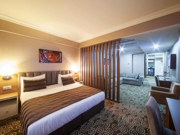 Delta Hotel Istanbul & Old City : photo 5 de la chambre suite standard