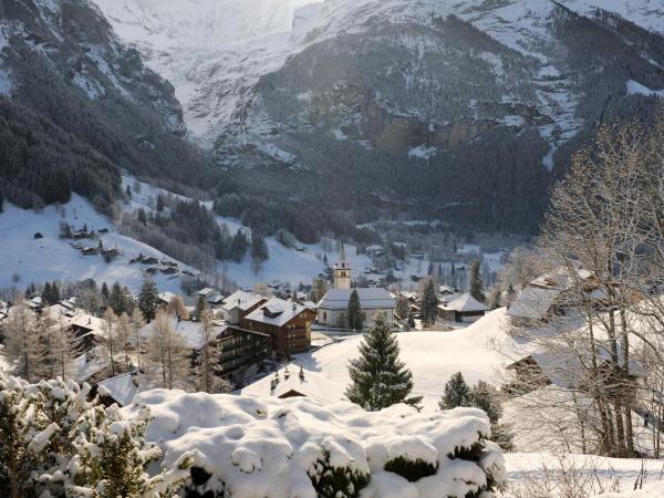 Hotel Kirchbühl Superior : photo 2 de la chambre chambre simple