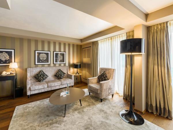 Lausanne Palace : photo 2 de la chambre suite junior - vue sur lac