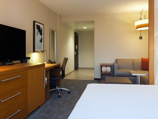 Hyatt Place Chicago River North : photo 3 de la chambre chambre lit king-size avec canapé-lit et douche accessible en fauteuil roulant - accessible aux personnes à mobilité réduite