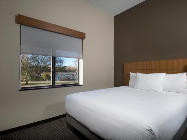 Hyatt Place Savannah Airport : photo 2 de la chambre chambre lit king-size avec canapé-lit