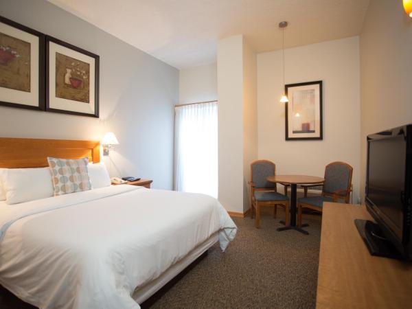 Banff Inn : photo 2 de la chambre chambre lit king-size