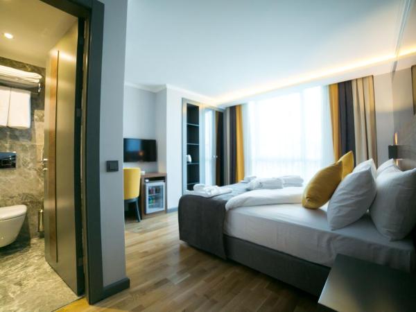 Ankacity Suit Flat : photo 1 de la chambre chambre transparente 