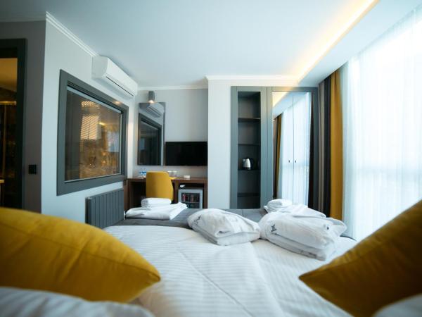 Ankacity Suit Flat : photo 3 de la chambre chambre transparente 