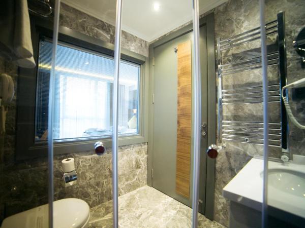 Ankacity Suit Flat : photo 4 de la chambre chambre transparente 