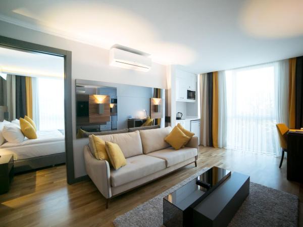 Ankacity Suit Flat : photo 1 de la chambre suite moderne