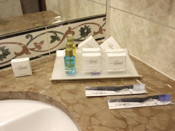 Topkapi Inter Istanbul Hotel : photo 5 de la chambre chambre simple