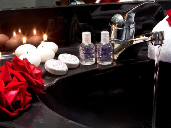 Hotel Diana Jardin et Spa : photo 5 de la chambre chambre double ou lits jumeaux - occupation simple 