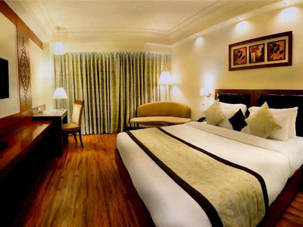 Hotel Regent Grand : photo 9 de la chambre metro view room