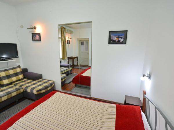 Guesthouse Sermageova : photo 3 de la chambre studio