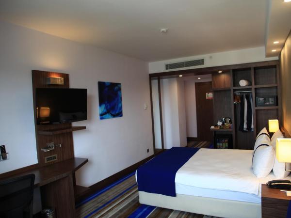 Liv City Hotels : photo 1 de la chambre chambre double standard avec canapé-lit - non-fumeurs