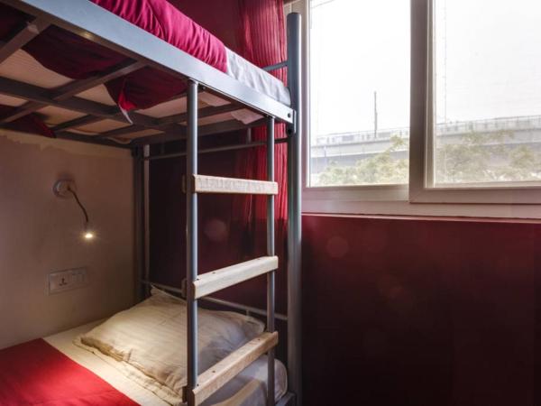Joey's Hostel Delhi : photo 9 de la chambre lit dans dortoir pour femmes de 6 lits