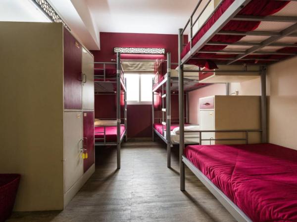 Joey's Hostel Delhi : photo 10 de la chambre lit dans dortoir pour femmes de 6 lits