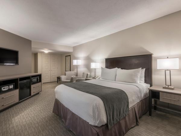 Chateau Bedford Trademark Collection by Wyndham : photo 4 de la chambre suite lit king-size – non-fumeurs