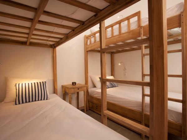 Adhisthana Hotel Yogyakarta : photo 4 de la chambre lit dans dortoir de 6 lits pour femmes