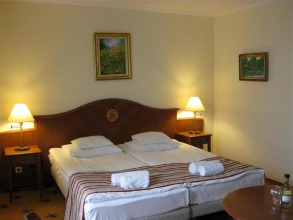 SANTE Hévíz : photo 2 de la chambre chambre double ou lits jumeaux standard