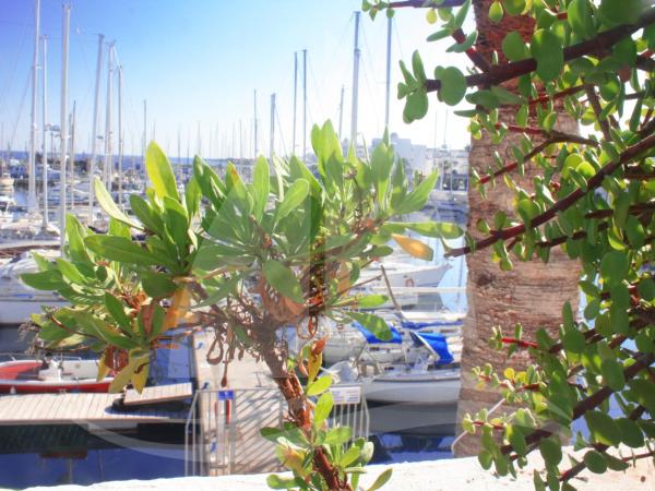 Marina Cap Monastir- Appart'Hôtel : photo 4 de la chambre studio