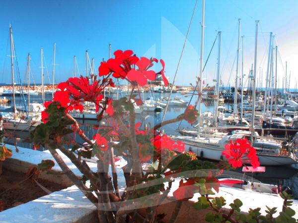 Marina Cap Monastir- Appart'Hôtel : photo 2 de la chambre studio