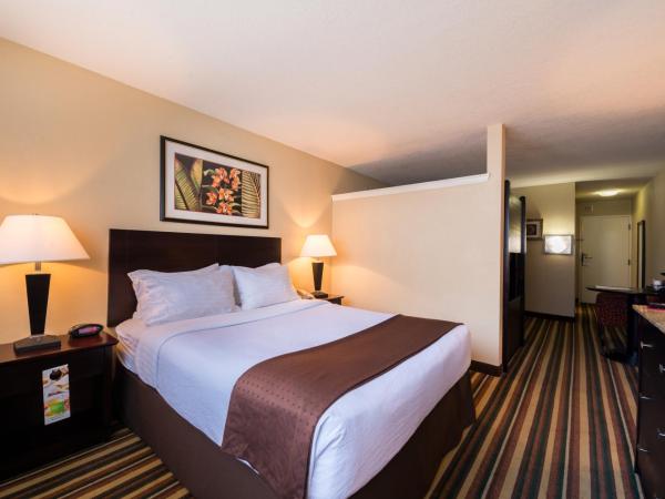 Holiday Inn & Suites Orlando SW - Celebration Area, an IHG Hotel : photo 3 de la chambre chambre avec 1 lit - non-fumeurs