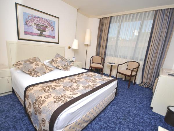 Class Hotel : photo 9 de la chambre chambre standard