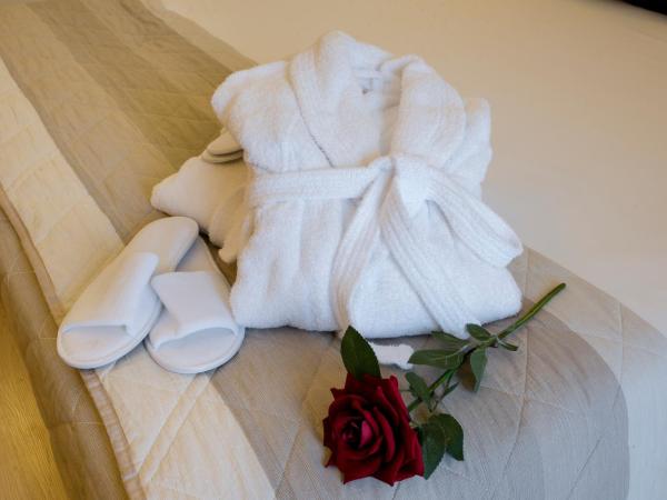 Hotel Executive : photo 6 de la chambre chambre double ou lits jumeaux supérieure
