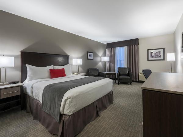 Chateau Bedford Trademark Collection by Wyndham : photo 5 de la chambre chambre lit king-size - non-fumeurs