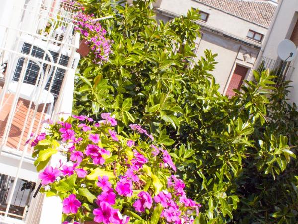 B&B Miro Centro Catania : photo 5 de la chambre chambre quadruple avec salle de bains privative séparée