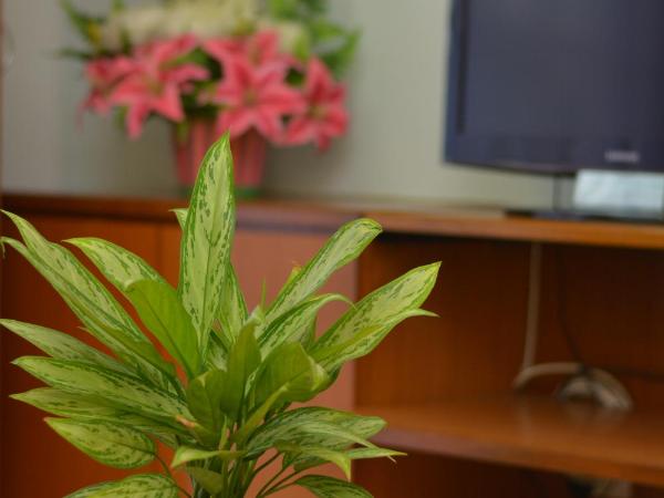 The Maple Suite : photo 6 de la chambre appartement 1 chambre deluxe