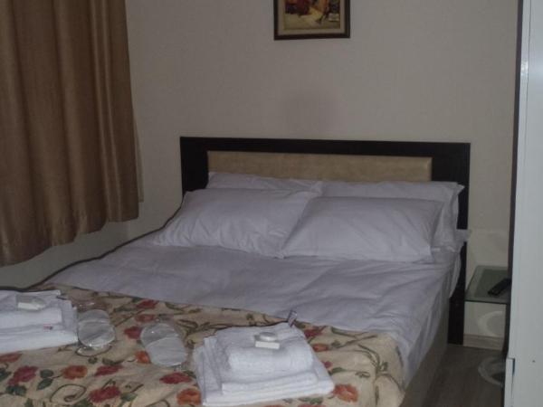 Paxx Istanbul Hotel & Hostel : photo 6 de la chambre chambre deluxe