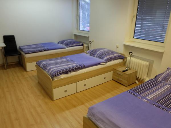 Montagehotel Bed & Steel : photo 2 de la chambre chambre triple Économique avec salle de bains commune