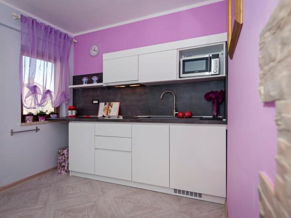 Apartments and Rooms Villa Dea ADULTS ONLY : photo 3 de la chambre appartement 1 chambre avec terrasse et vue sur le jardin