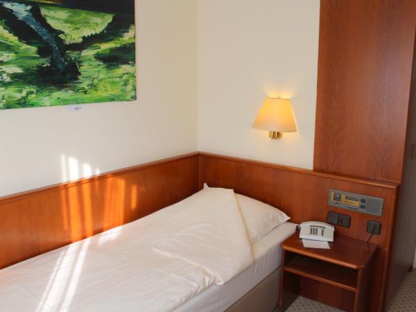 Hotel Elbroich : photo 1 de la chambre chambre simple