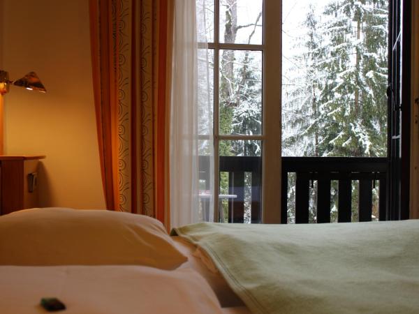 Hotel Restaurant Schweizerhaus : photo 3 de la chambre chambre double