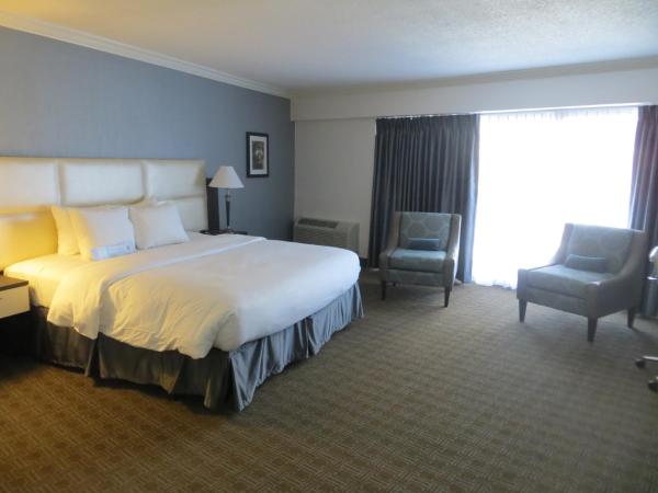 Toronto Don Valley Hotel and Suites : photo 6 de la chambre chambre lit king-size deluxe avec balcon