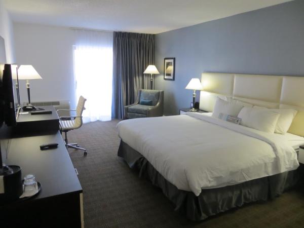 Toronto Don Valley Hotel and Suites : photo 2 de la chambre chambre lit king-size deluxe avec balcon