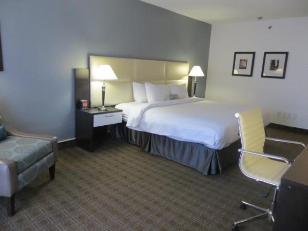 Toronto Don Valley Hotel and Suites : photo 3 de la chambre chambre lit king-size deluxe avec balcon