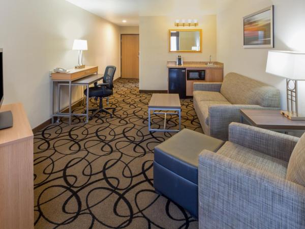Holiday Inn Express Hotel and Suites - Henderson, an IHG Hotel : photo 3 de la chambre chambre lit king-size exécutive - adaptée aux personnes malentendantes et à mobilité réduite - non-fumeurs