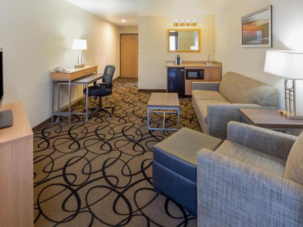 Holiday Inn Express Hotel and Suites - Henderson, an IHG Hotel : photo 3 de la chambre chambre lit king-size - adaptée aux personnes malentendantes/non-fumeurs 