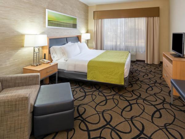 Holiday Inn Express Hotel and Suites - Henderson, an IHG Hotel : photo 1 de la chambre chambre lit king-size - adaptée aux personnes malentendantes/non-fumeurs 
