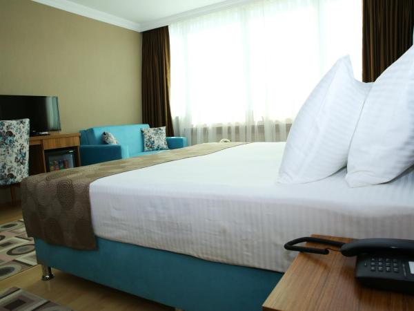 Golden Lounge Hotel : photo 7 de la chambre chambre double deluxe