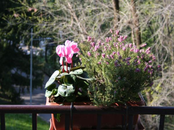 B&B I Ghiri : photo 8 de la chambre chambre triple avec salle de bains privative séparée