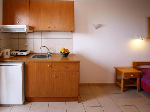 Classic Apartments : photo 4 de la chambre studio standard