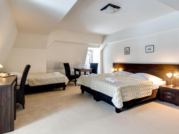 Pałac Spiż koło Karpacza : photo 7 de la chambre chambre triple