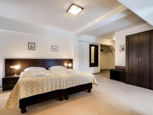 Pałac Spiż koło Karpacza : photo 5 de la chambre chambre double ou lits jumeaux