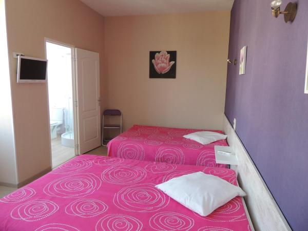 Hotel Le Colbert epernay : photo 2 de la chambre chambre lits jumeaux standard