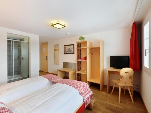 Alpinhotel Bort : photo 4 de la chambre chambre double avec vue sur l'eiger