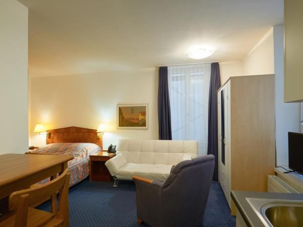 Hotel Hine Adon Fribourg : photo 7 de la chambre suite familiale 1 chambre avec kitchenette 