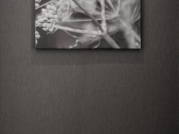 Portal Plaza Suites : photo 5 de la chambre chambre double exécutive