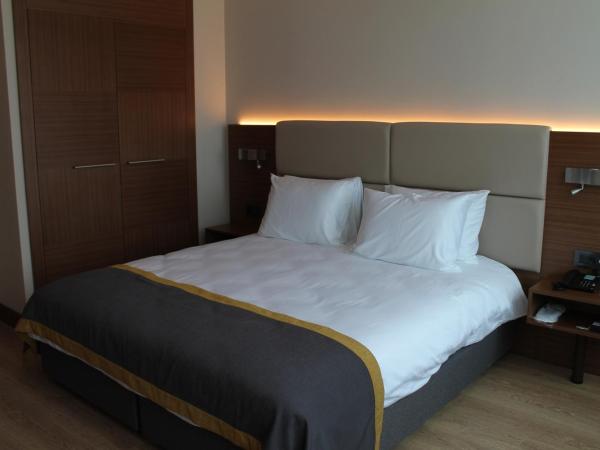 Nearport Hotel Sabiha Gokcen Airport : photo 4 de la chambre chambre double ou lits jumeaux supérieure